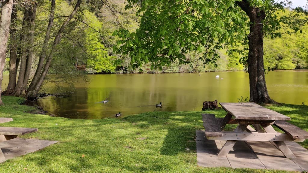 Infopoint - Mühle Tørning Mølle